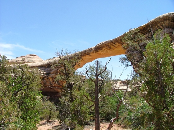 Natural Bridges National Park,Utah