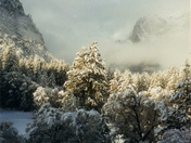 Yosemite National Park