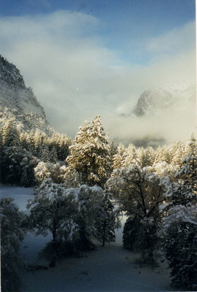 Yosemite National Park
