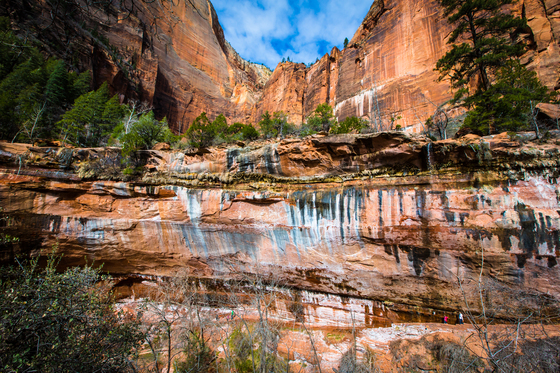 Zion National Park, Utah