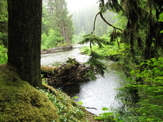 Olympic National Park