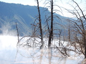 Yellowstone 