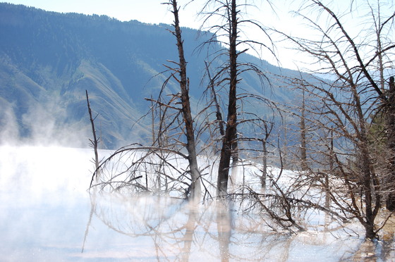 Yellowstone 