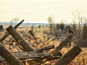 Gettysburg National Military Park