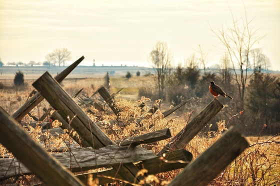 Gettysburg National Military Park