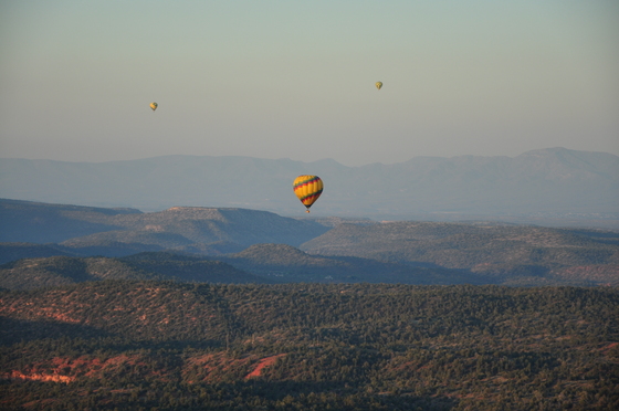 Coconino National Forest