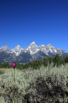Grand Tetons