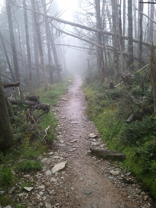 Smoky Mountains