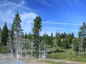 Yellowstone Hot Spring