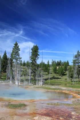 Yellowstone Hot Spring