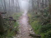 Great Smoky Mountains National Park