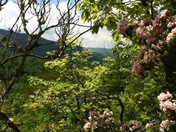 Great Smoky Mountains