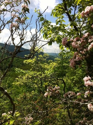 Great Smoky Mountains