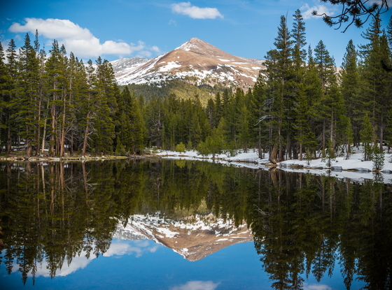Yosemite National Park