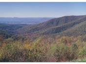 Grand Canyon/ Skyline drive