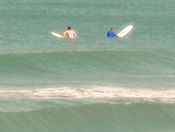 Canaveral National Seashore 