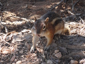 Bryce Canyon National Park