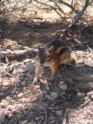 Bryce Canyon National Park