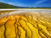 Yellowstone national park