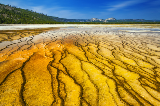 Yellowstone national park