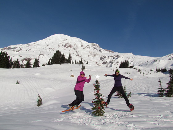 Mount Rainier National Park