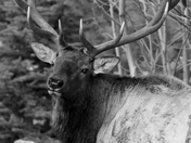 Rocky Mountain National Park