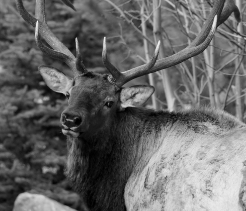 Rocky Mountain National Park