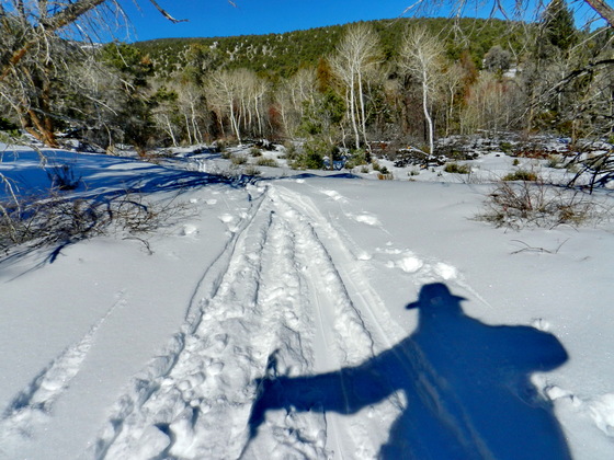 Great Basin National Park, NV