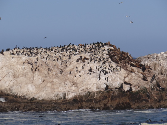 Monterey Bay National Marine Santuary