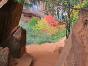 Zion National Park