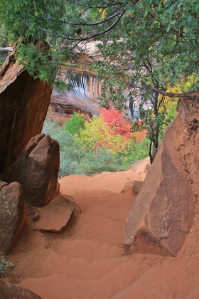 Zion National Park