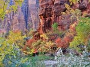 Zion National Park