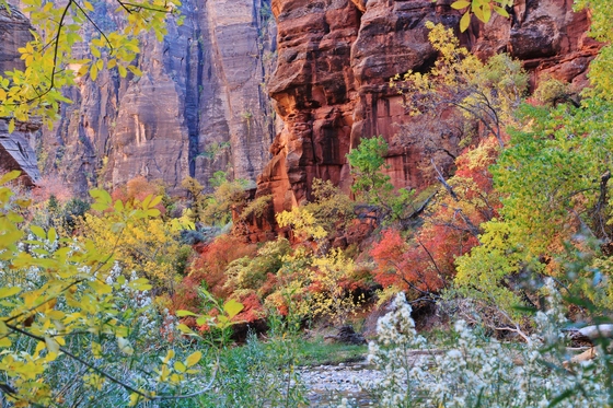 Zion National Park
