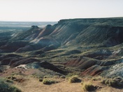 Petrified Forest
