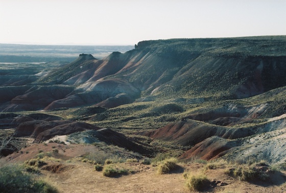 Petrified Forest