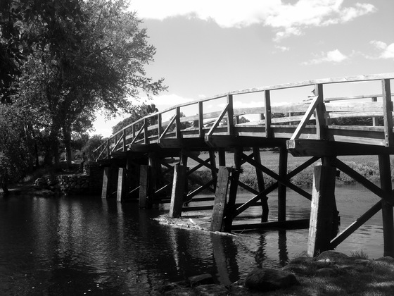 Minuteman NHP