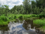 Reflections of Clouds