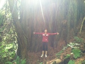 Redwood National Park