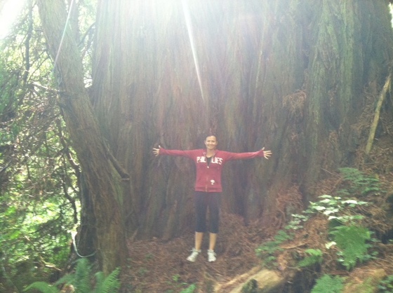 Redwood National Park