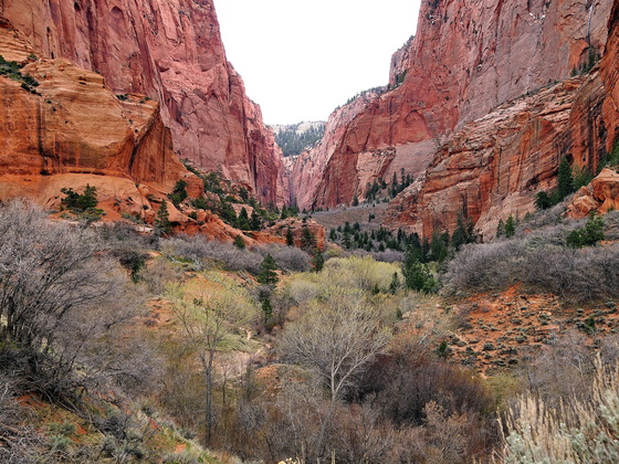 Kolob Canyons, Zion National Park, Utah