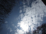 Peabody Federal Park