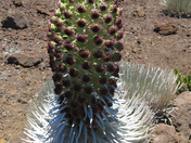 HaleakalÄ National Park