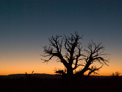 Arches National Park