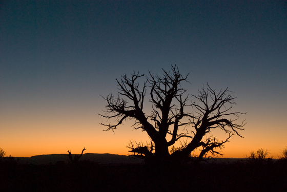 Arches National Park