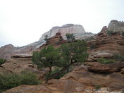 Zion National Park