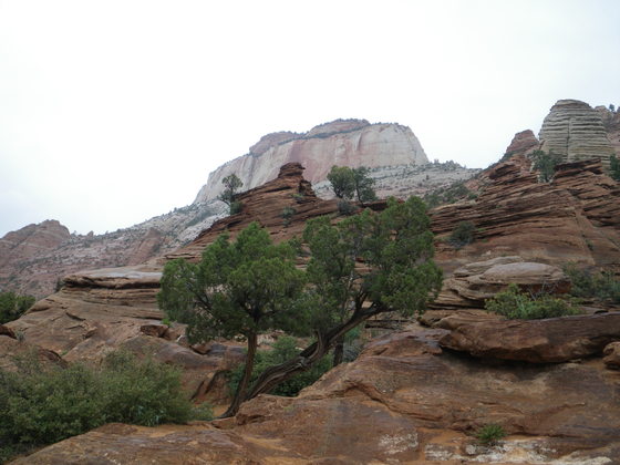 Zion National Park
