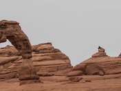 Arches National Park