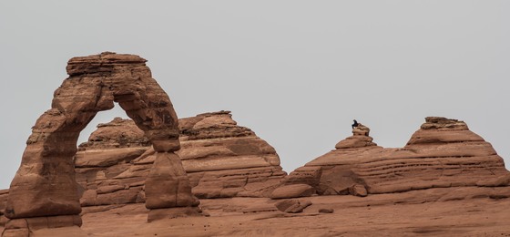 Arches National Park