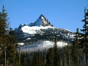 Willamette National Forest