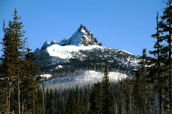 Willamette National Forest